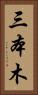 三本木 Vertical Portrait