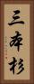 三本杉 Vertical Portrait
