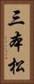 三本松 Vertical Portrait