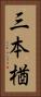 三本楢 Vertical Portrait