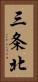 三条北 Vertical Portrait