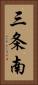 三条南 Vertical Portrait