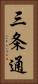 三条通 Vertical Portrait