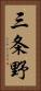 三条野 Vertical Portrait