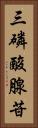 三磷酸腺苷 Vertical Portrait