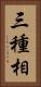 三種相 Vertical Portrait