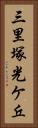 三里塚光ケ丘 Vertical Portrait
