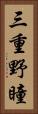 三重野瞳 Vertical Portrait