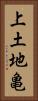 上土地亀 Vertical Portrait