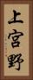 上宮野 Vertical Portrait