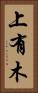 上有木 Vertical Portrait