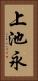 上池永 Vertical Portrait