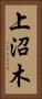上沼木 Vertical Portrait