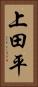 上田平 Vertical Portrait