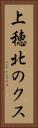 上穂北のクス Vertical Portrait