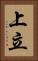上立 Vertical Portrait
