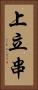 上立串 Vertical Portrait