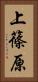上篠原 Vertical Portrait