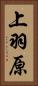 上羽原 Vertical Portrait
