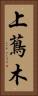 上蔦木 Vertical Portrait
