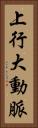 上行大動脈 Vertical Portrait