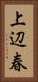 上辺春 Vertical Portrait