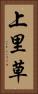 上里草 Vertical Portrait