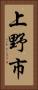 上野市 Vertical Portrait