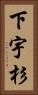 下宇杉 Vertical Portrait
