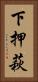下押萩 Vertical Portrait