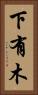 下有木 Vertical Portrait