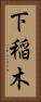 下稲木 Vertical Portrait