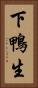 下鴨生 Vertical Portrait