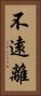 不遠離 Vertical Portrait