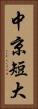 中京短大 Vertical Portrait