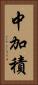中加積 Vertical Portrait