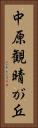 中原観晴が丘 Vertical Portrait