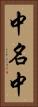 中名中 Vertical Portrait