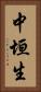 中垣生 Vertical Portrait