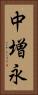 中増永 Vertical Portrait