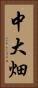 中大畑 Vertical Portrait