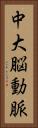 中大脳動脈 Vertical Portrait
