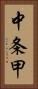 中条甲 Vertical Portrait