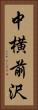 中横前沢 Vertical Portrait