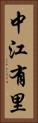 中江有里 Vertical Portrait