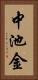 中池金 Vertical Portrait