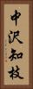 中沢知枝 Vertical Portrait