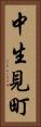中生見町 Vertical Portrait