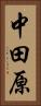 中田原 Vertical Portrait