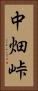 中畑峠 Vertical Portrait